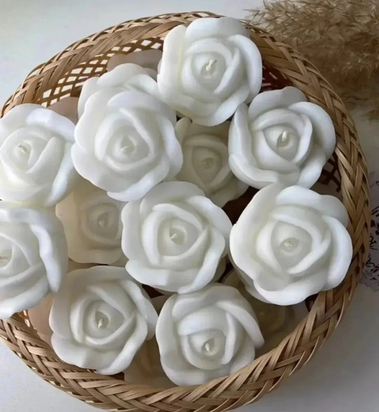 گیفت گل رز هلندی