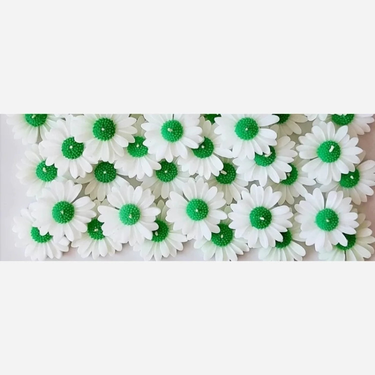 گیفت شمع گل بابونه(مارگاریت و ارکیده )