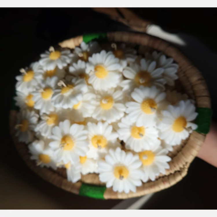 گیفت شمع گل بابونه(مارگاریت و ارکیده )